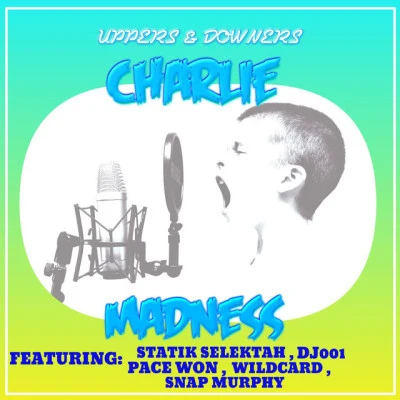 歌手 Charlie Madness