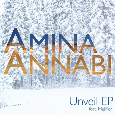 歌手 Amina Annabi