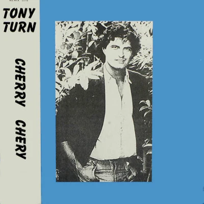 歌手 Tony Turn