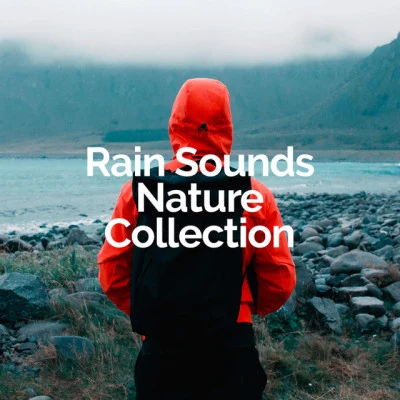 Rain Sounds Nature Collection/Rain Sounds Sleep/Rain Storm Sample Library 15 Serene Rain Noises for Ultimate Relaxation