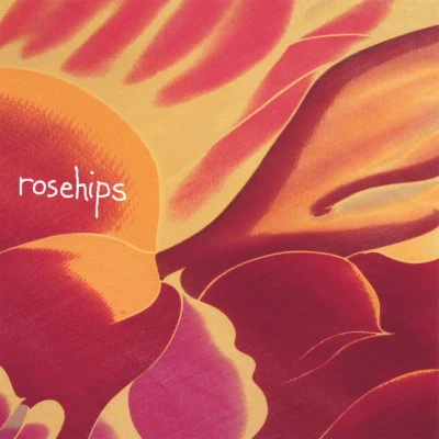 歌手 The Rosehips