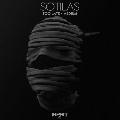 歌手 Sotilas