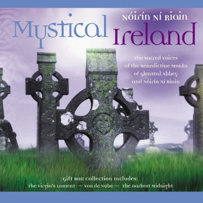 歌手 Nóirín Ní Riain