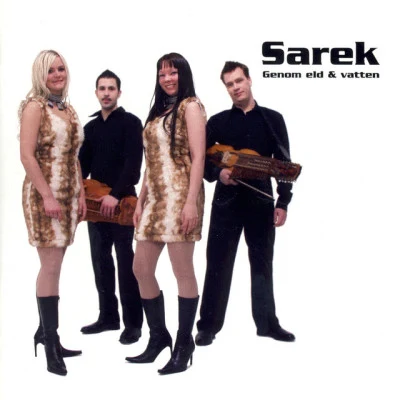 歌手 Sarek