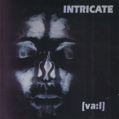 歌手 IntricateMathaden