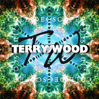 歌手 Terry Wood