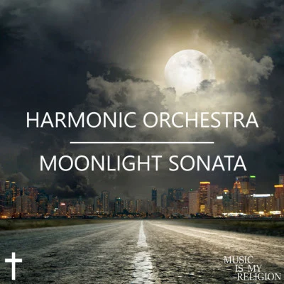 歌手 Harmonic OrchestraHans May