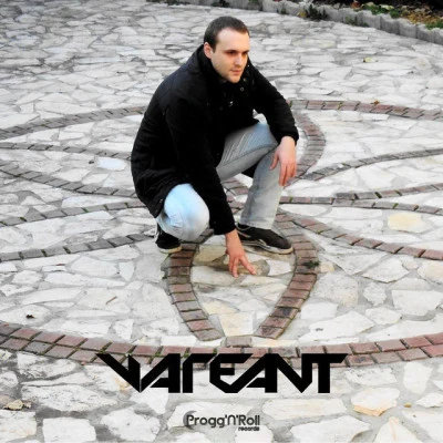 歌手 Vareant