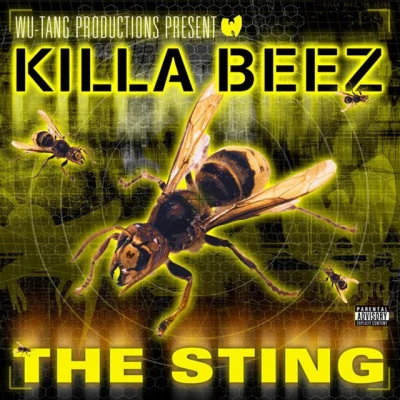 歌手 Wu Tang Killa BeezSchool Of The Gifted