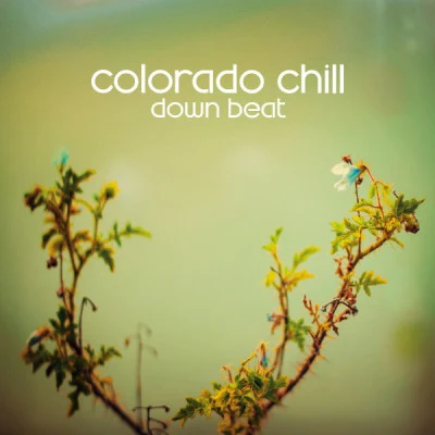 歌手 Colorado Chill