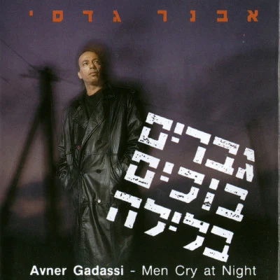 歌手 Avner Gadasi