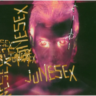 歌手 Junesex