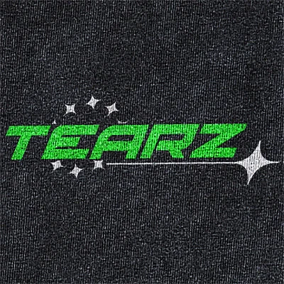 歌手 Tearz