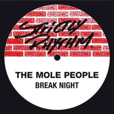 The Mole People/Mood II Swing/Osunlade/Hardhead Radio Slave Presents Strictly Rhythms Vol.5