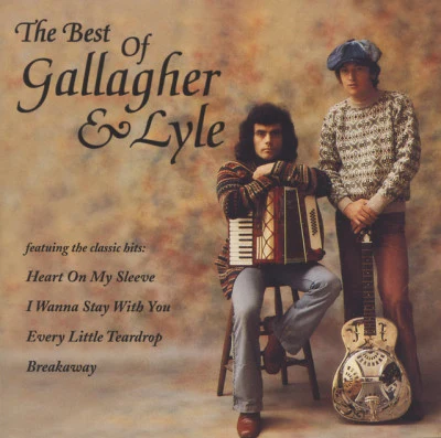 歌手 Gallagher And Lyle