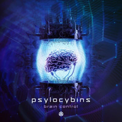 歌手 Psylocybins