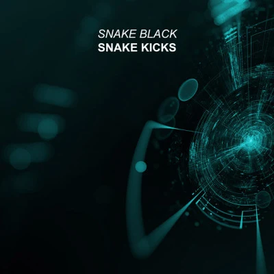 歌手 Snake Black