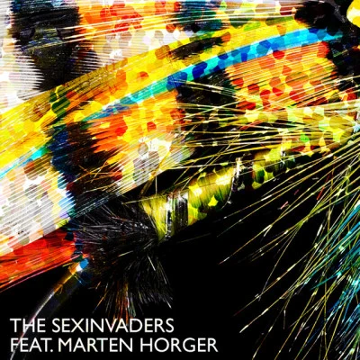 歌手 The SexinvadersYall