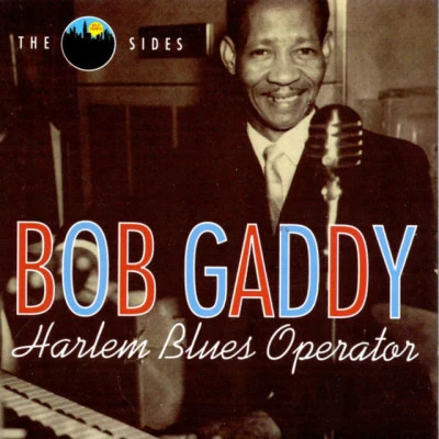 歌手 Bob Gaddy