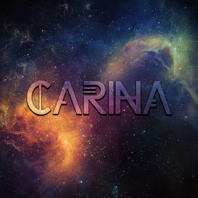 歌手 Carina