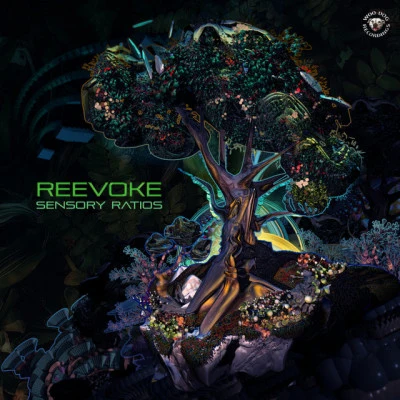 歌手 Reevoke