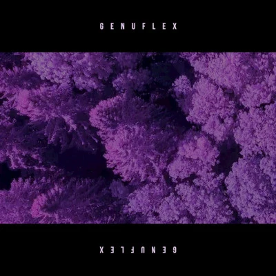 歌手 Genuflex