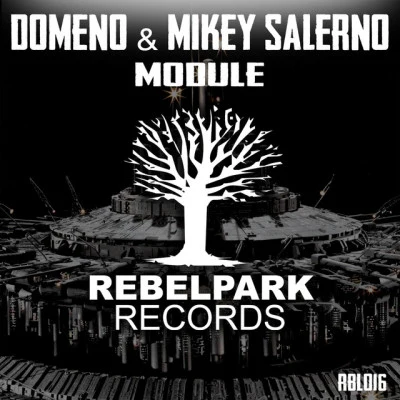 Mikey Salerno/Domeno Module