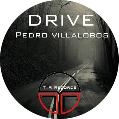 歌手 Pedro Villalobos