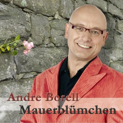 歌手 Andre Borell