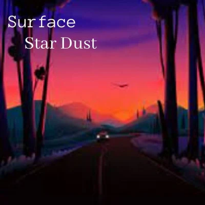 歌手 Star Dust