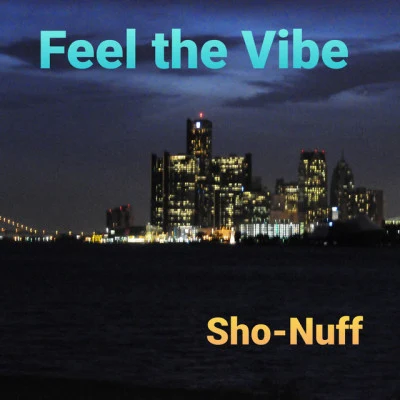 歌手 Sho-Nuff