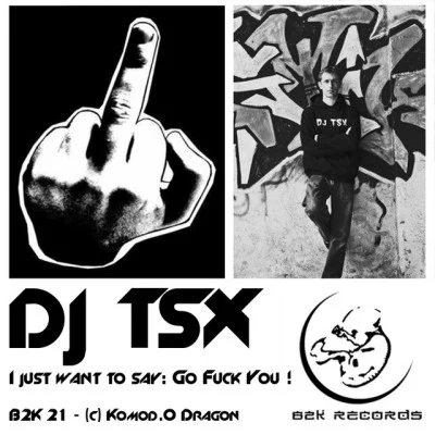 歌手 DJ TSX