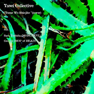 Yasei Collective FINE PRODUCTS