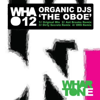 歌手 Organic DJs