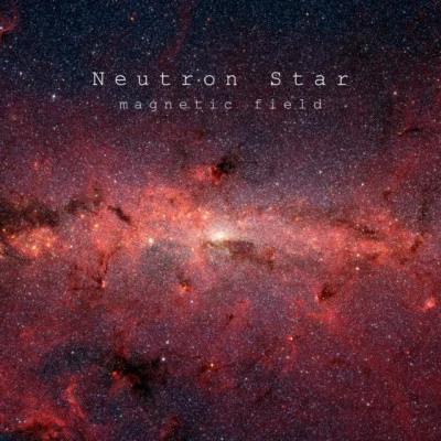 歌手 Neutron Star