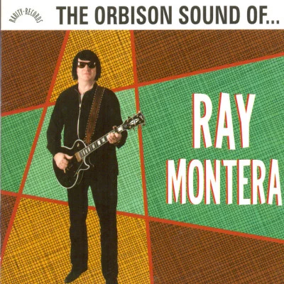 歌手 Ray Montera