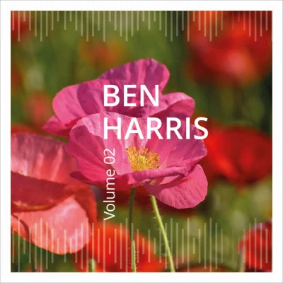 歌手 Ben Harris