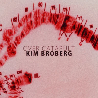 歌手 Kim Broberg