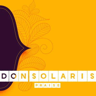 歌手 Don Solaris