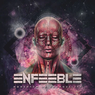 歌手 Enfeeble