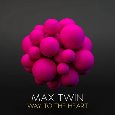 歌手 Max Twin