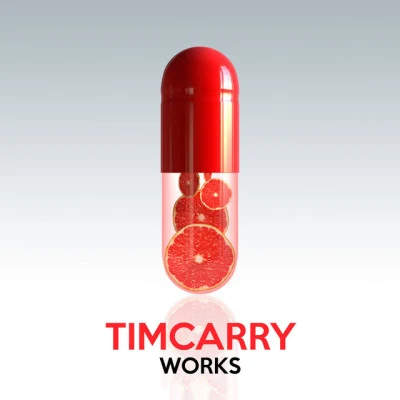 歌手 TimCarry