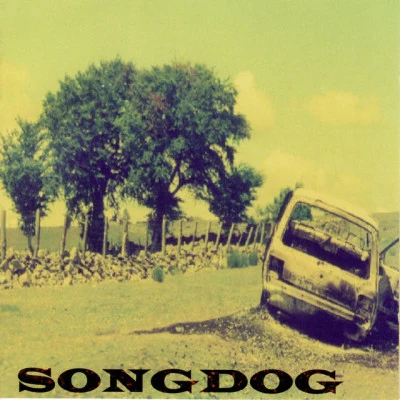 歌手 Songdog