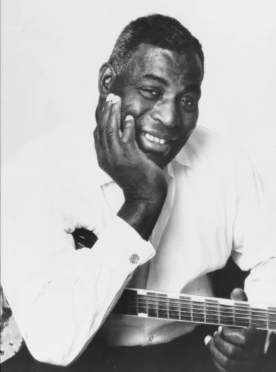 歌手 Howlin&#x27; Wolf