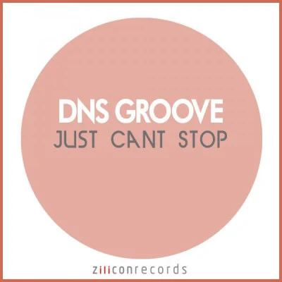 歌手 DNS Groove