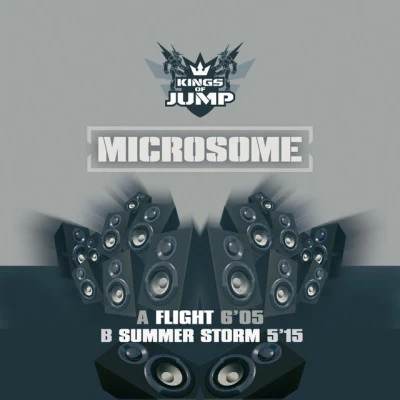 歌手 Microsome