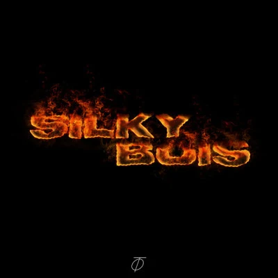 歌手 SILKYBOIS