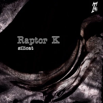 歌手 Raptor K