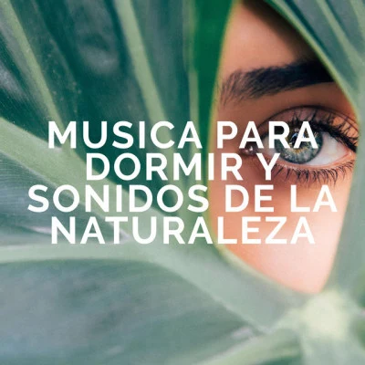 歌手 Musica Para Dormir y Sonidos de la NaturalezaNaturalezaMusica relajante con sonidos de la naturaleza