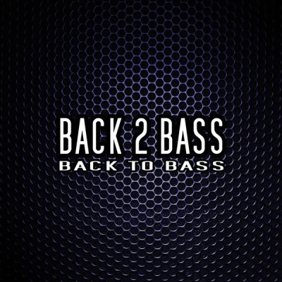 歌手 Back 2 Bass